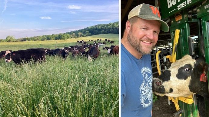 left: John Paul Visosky '01 with a cow; right: cows in a field